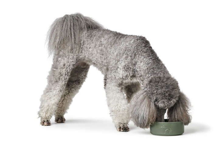 HUNTER Keramik-Napf Osby